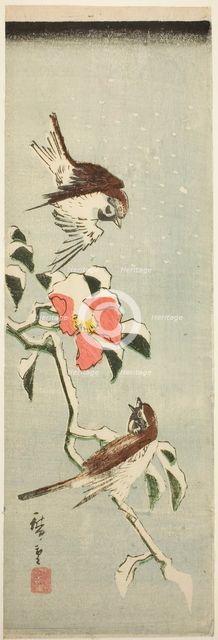 Sparrows and camellia in snow, 1840s. Creator: Ando Hiroshige.