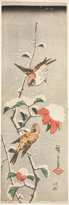 Sparrows and Camellia in Snow, c. 1837/48. Creator: Ando Hiroshige