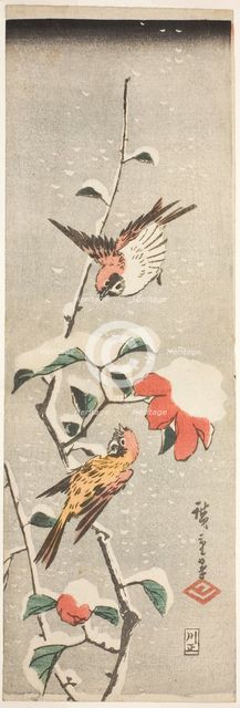 Sparrows and Camellia in Snow, c. 1837/48. Creator: Ando Hiroshige.