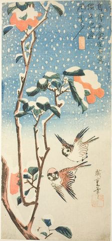 Sparrows and Camellia in Snow, c. 1831/33. Creator: Ando Hiroshige