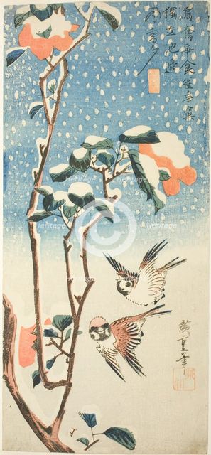 Sparrows and Camellia in Snow, c. 1831/33. Creator: Ando Hiroshige.