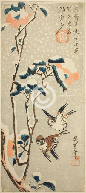 Sparrows and Camellia in Snow, c. 1831/33. Creator: Ando Hiroshige.
