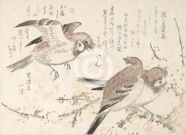 Sparrows and Plum Blossoms, 19th century. Creator: Kubo Shunman.