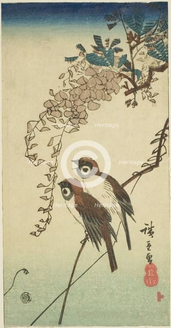 Sparrows and wisteria, n.d. Creator: Ando Hiroshige.