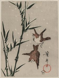 Sparrows, Bamboo and Falling Snow, c. late 1820s. Creator: Keisai Eisen (Japanese, 1790-1848)