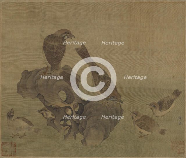Sparrows feeding their young, Ming or Qing dynasty, (17th century?). Creator: Unknown.