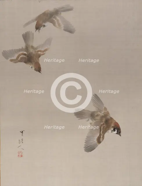 Sparrows Flying, ca. 1887. Creator: Watanabe Seitei.