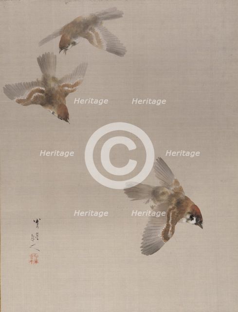 Sparrows Flying, ca. 1887. Creator: Watanabe Seitei.