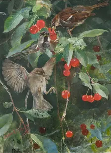 Sparrows in a Cherry Tree. Five studies in one frame, NM 2223-2227, 1885. Creator: Bruno Liljefors