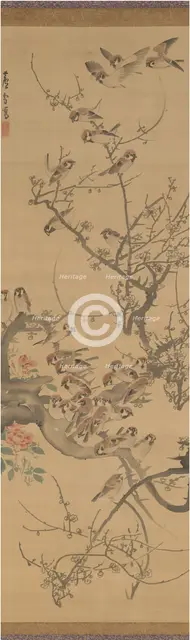 Sparrows in a Plum Tree, early 1790s. Creator: Nagasawa Rosetsu.