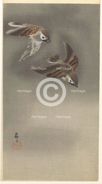 Sparrows in snow. Creator: Ohara, Koson (1877-1945).