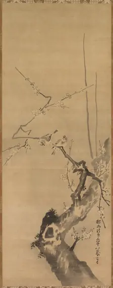 Sparrows on Blossoming Plum, 17th century. Creator: Kano Tan?y? (Japanese, 1602-1674), attributed to
