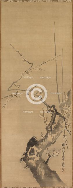 Sparrows on Blossoming Plum, 17th century. Creator: Kano Tan?y? (Japanese, 1602-1674), attributed to.
