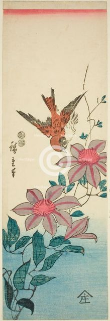Sparrow and clematis, c. 1847/52. Creator: Ando Hiroshige.