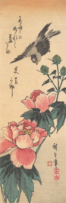 Sparrow and Hibiscus, ca. 1834., ca. 1834. Creator: Ando Hiroshige