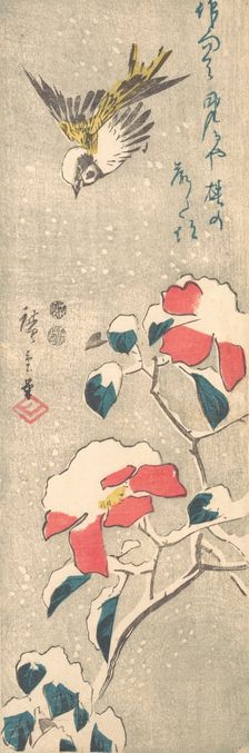 Sparrow and Snow-covered Camellia (Tsubaki), ca. 1845., ca. 1845. Creator: Ando Hiroshige