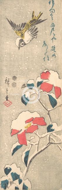 Sparrow and Snow-covered Camellia (Tsubaki), ca. 1845., ca. 1845. Creator: Ando Hiroshige.