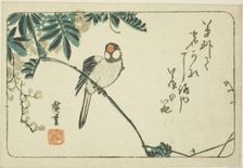 Sparrow and wisteria, n.d. Creator: Ando Hiroshige