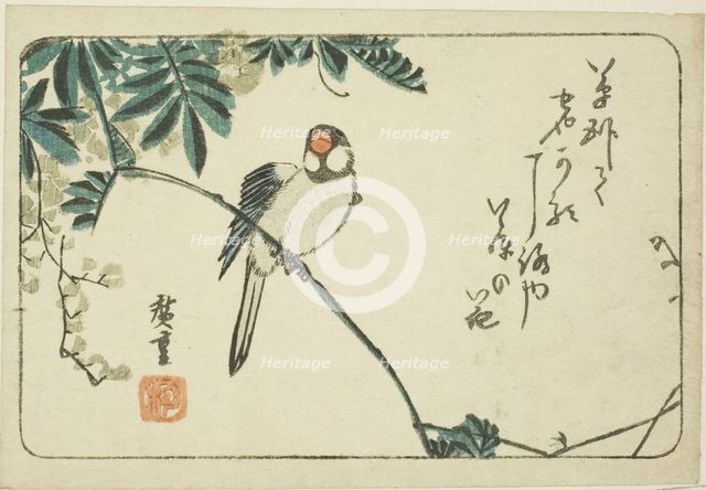 Sparrow and wisteria, n.d. Creator: Ando Hiroshige.