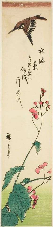 Sparrow flying over begonias, mid-1840s. Creator: Ando Hiroshige