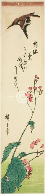 Sparrow flying over begonias, mid-1840s. Creator: Ando Hiroshige.