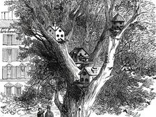 Sparrow-Nests in Philadelphia, 1876. Creator: Unknown