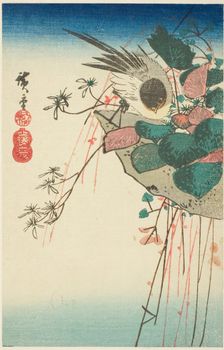 Sparrow on a hanging planter, n.d. Creator: Ando Hiroshige