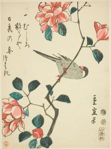 Sparrow on camellia branch, c. 1847/52. Creator: Utagawa Hiroshige II