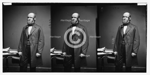 Spaulding, Hon. Elbridge of N.Y., ca. 1860-1865. Creator: Unknown.