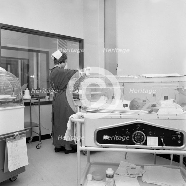 Special care unit for premature babies, Nether Edge Hospital, Sheffield, South Yorkshire, 1969. Creator: Michael Walters.