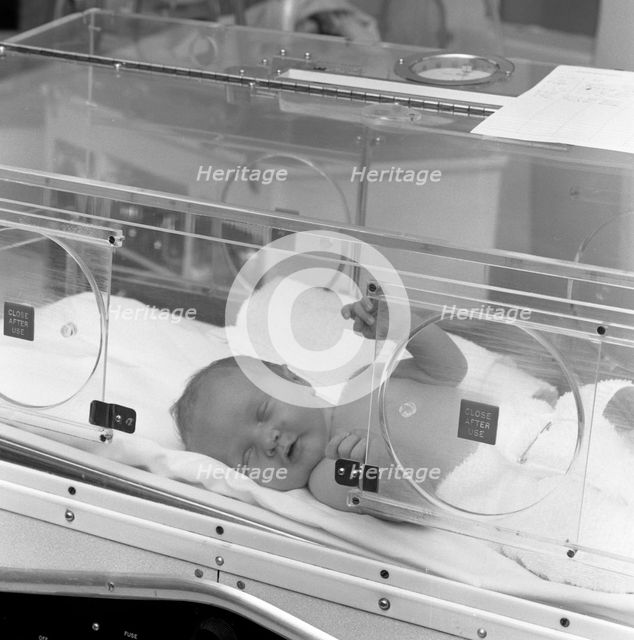 Special care unit for premature babies, Nether Edge Hospital, Sheffield, South Yorkshire, 1969. Creator: Michael Walters.