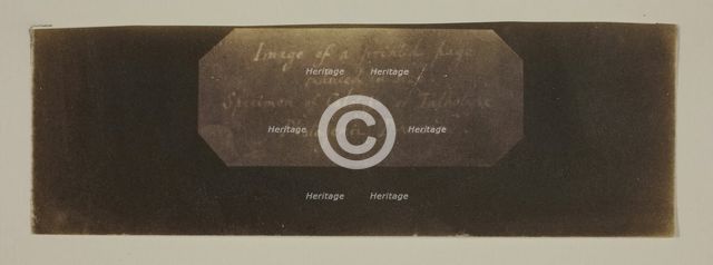 Specimen of Calotype of Talbotype, Photogenic Drawing [label], c. 1840/41. Creator: William Henry Fox Talbot.
