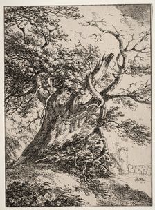 Specimens of Polyautography: Landscape with an Oak Tree, 1803. Creator: Thomas Hearne (British, 1744-1817)