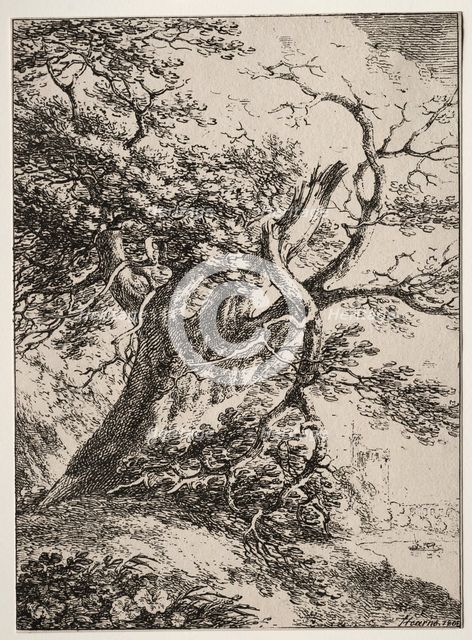 Specimens of Polyautography: Landscape with an Oak Tree, 1803. Creator: Thomas Hearne (British, 1744-1817).