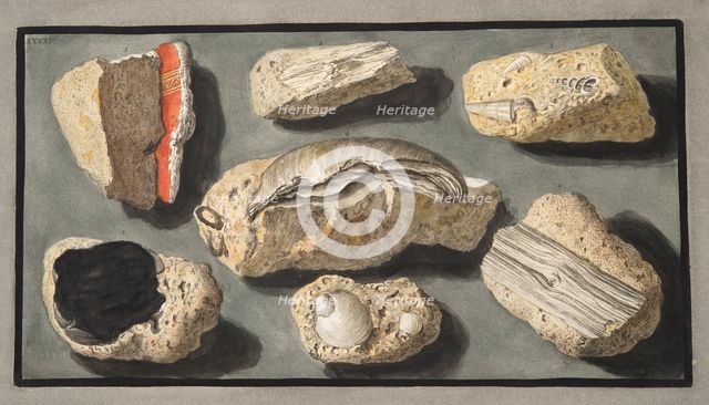 Specimens of Tufa found in and around Herculaneum, 1776.