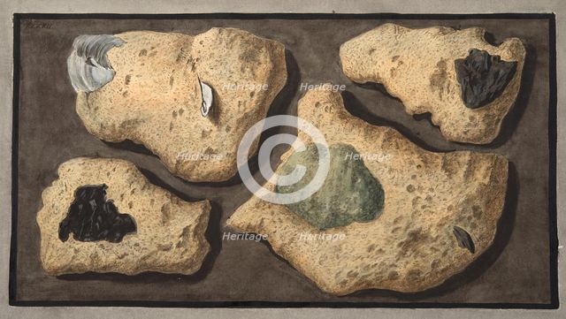 Specimens of Tufas from the quarrys near the Grotta of Pausilipo, 1776.