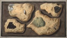 Specimens of Tufas from the quarrys near the Grotta of Pausilipo, 1776