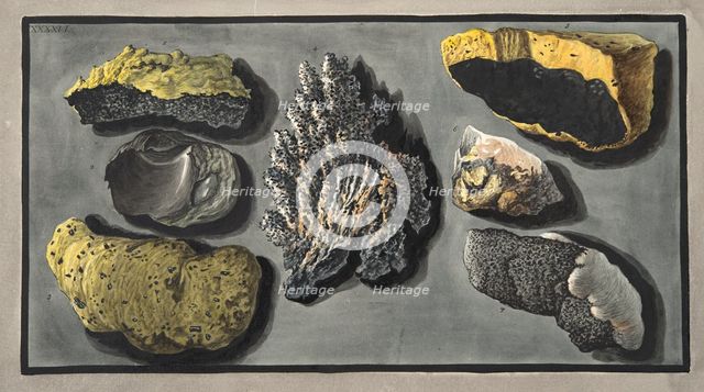 Specimens of volcanic matter found in the crater of Vesuvius, 1776. 