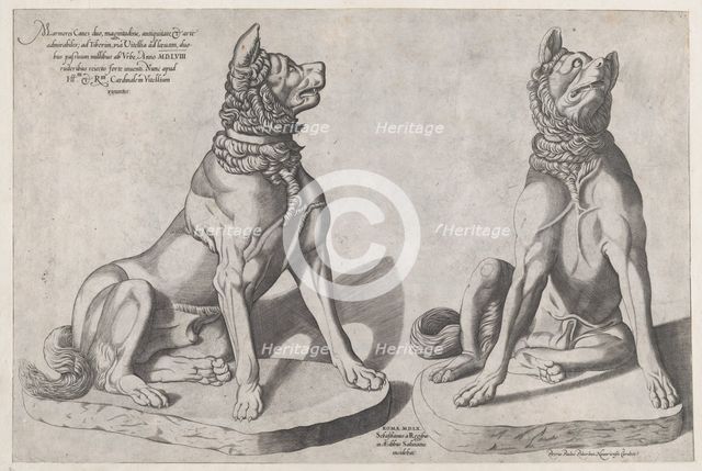 Speculum Romanae Magnificentiae: Two Dogs, 1558., 1558. Creator: Sebastiano di Re.