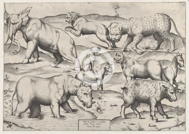Speculum Romanae Magnificentiae: Wild Animals, from antique wall paintings, plate 2, 1547., 1547. Creator: Anon.