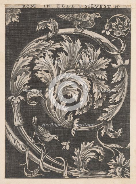 Speculum Romanae Magnificentiae: Ornamental foliage from churches, 16th century., 16th century. Creator: School of Raphael.