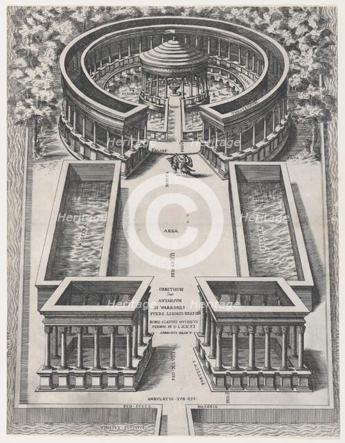Speculum Romanae Magnificentiae: Ornithon Sive Aviarum, 1581., 1581. Creator: Giovanni Ambrogio Brambilla.
