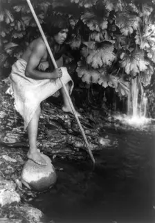 Spearing salmon, c1923. Creator: Edward Sheriff Curtis