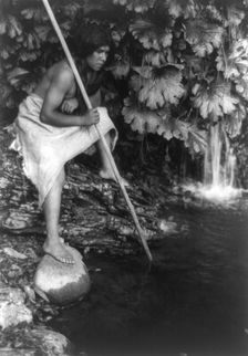 Spearing salmon, c1923. Creator: Edward Sheriff Curtis