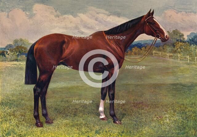 Spearmint, c1905 (c1910). Artist: Unknown.