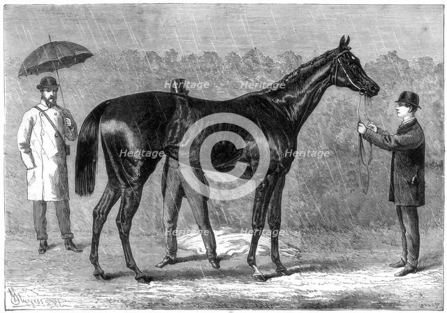 'Spinaway', winner of the Oaks, 1875. Artist: Crane
