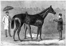 Spinaway winner of the Oaks, 1875. Artist: Crane