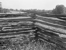 Split-log fence, North central Arkansas, along U.S. 62, 1938. Creator: Dorothea Lange
