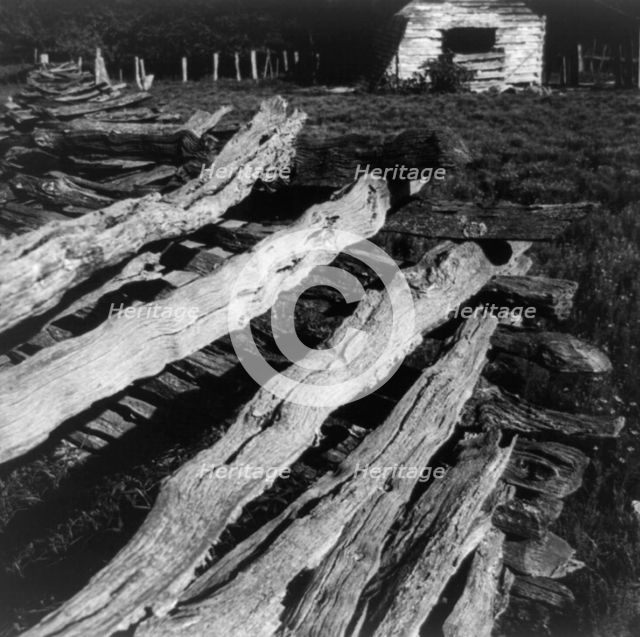 Split-log fence, North central Arkansas, along U.S. 62, 1938. Creator: Dorothea Lange.