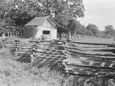 Split-log fence, North Central Arkansas along U.S. 62, 1938. Creator: Dorothea Lange